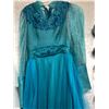 Image 3 : "Superhero Show" - Season 5 Ep. 3 -  Hero - Complete 'Godmother' outfit - includes blue dress/white 