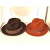 Image 1 : "Superhero Show" - Group of 2 vintage fedora hats