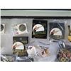 Image 8 : Multiple Medals & Pins: Olympics, Skeet Shooting, Food, etc in Display 16"L