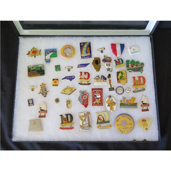 Multiple Collectible Pins Lions Club International AAAAA 01 in Display ...