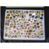 Image 2 : Multiple Collectible Pins: Sports, Animals, Places, Ads, etc in Display Case 16"L