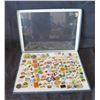 Image 1 : Multiple Collectible Pins: Places, Events, Cartoons Sports, etc in Display Case 16"L