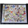 Image 2 : Multiple Collectible Pins: Disney, Cartoons, Animals, Aloha, etc in Display Case 16"L