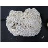 Image 2 : Qty Approx. 8 Artifacts Rock & Geode  (Providence Unknown)