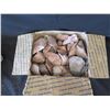 Image 2 : Box Large Rock Faceted Stone Collection (Providence Unknown)