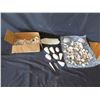 Image 2 : Box Multiple Shells, Coral, Stones, Crystal: Scallop, Conch, Cowrie, etc