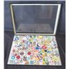 Image 1 : Multiple Collectible Pins: Cartoons, Disney, Animals, Trading, etc in Display Case 16"L