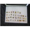 Image 2 : Multiple Collectible Pins: Cartoons, Disney, Places, Characters, etc in Display Case 16"L