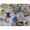 Image 8 : Multiple Collectible Pins: Places, Military, Girls, Quelle, etc in Display Case 16"L
