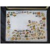 Image 2 : Multiple Collectible Pins: Places, Sports, Animals, Flags, etc in Display Case 16"L