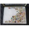 Image 2 : Multiple Collectible Pins: Places, Sports, Animals, Cartoons, etc in Display Case 16"L