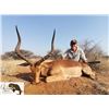 Image 2 : Impala & Bluewildebest- Plains Game Hunt