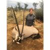 Image 2 : 6-day, 3 hunter Oryx & Warthog Hunt in Namibia