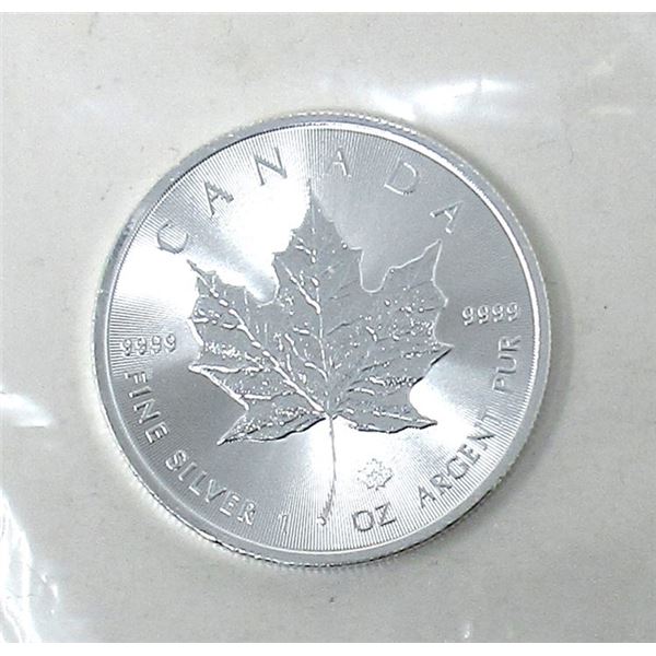 1 Oz. Canada .9999 Silver Maple Leaf Coin