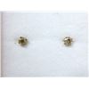 Image 1 : New 10 KT Gold .35 CTW Diamond Stud Earrings