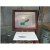 Image 1 : Framed Green River Formation Fossil - 11" x 13"