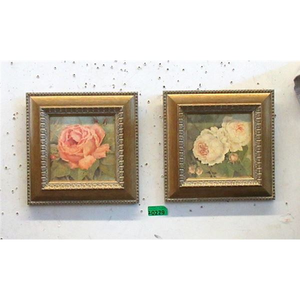 Pair of Framed Floral Prints - 11  x 11 