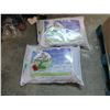 Image 1 : 2 Queen Size Organic Buckwheat Pillows