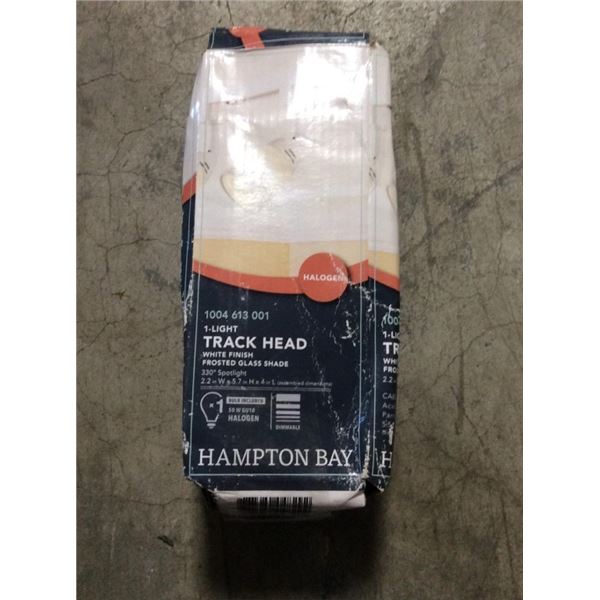 One track head white finish frosted glass shade