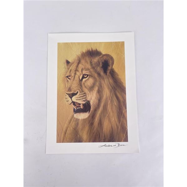 Andrew Bone Signed Lion Print