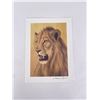 Image 1 : Andrew Bone Signed Lion Print