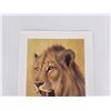 Image 2 : Andrew Bone Signed Lion Print