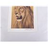 Image 3 : Andrew Bone Signed Lion Print