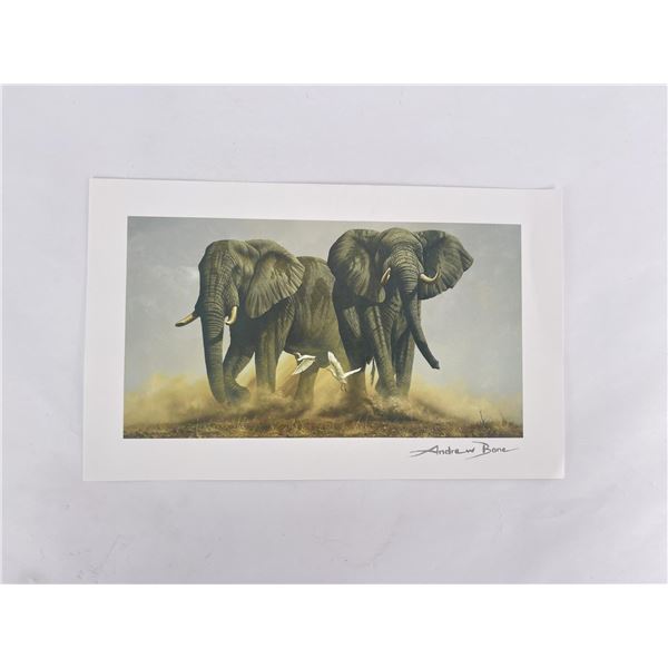 Andrew Bone Signed Elephant Print