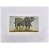 Image 1 : Andrew Bone Signed Elephant Print
