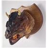 Image 3 : Alaska Taxidermy Bull Trout Head