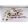 Image 1 : Large Collection of Sea Shells