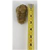 Image 8 : Moroccan Fossil Trilobite #2