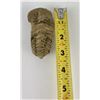 Image 7 : Moroccan Fossil Trilobite #7