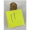 Image 8 : Moroccan Fossil Trilobite #11