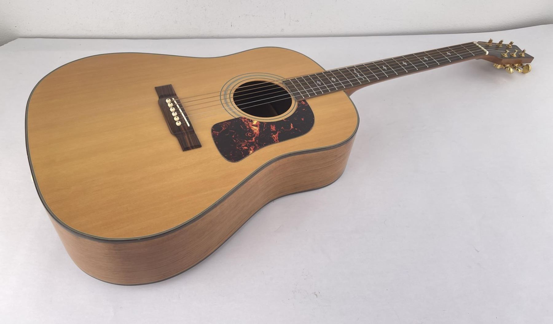 Washburn D25 S/N Acoustic Guitar