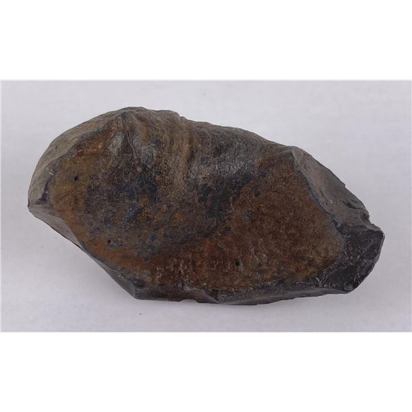 South Carolina Whale Ear Bone Fossil