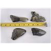 Image 6 : Collection of South Carolina Megalodon Shark Teeth