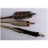 Image 6 : Group of Native American Indian Arrows