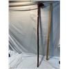 Image 1 : Walking stick