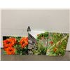 Image 1 : 3 canvas wall hangings