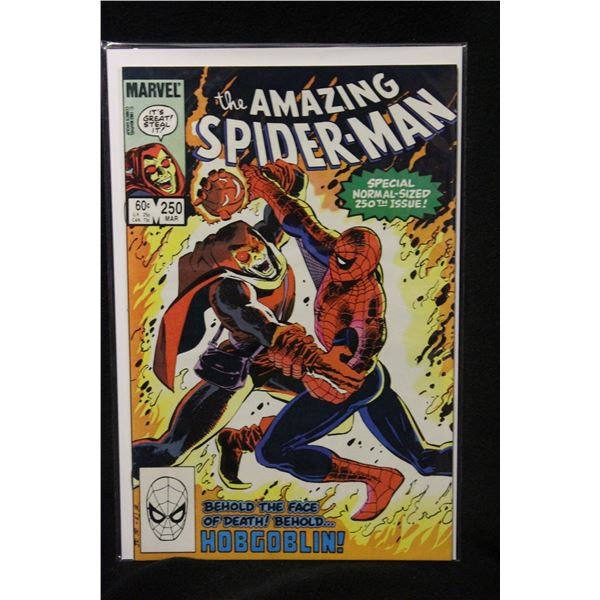 AMAZING SPIDERMAN 250 AMAZING SPIDERMAN 250