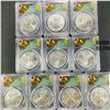 Image 1 : (10) 2020 American Silver Eagle PCGS - MS70