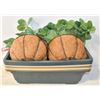 Image 1 : 2 COCONUT HANGING PLANTERS + 7 - 17"X 7" PLANTERS
