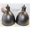 Image 1 : 2 PENDANT LIGHTS UNUSED