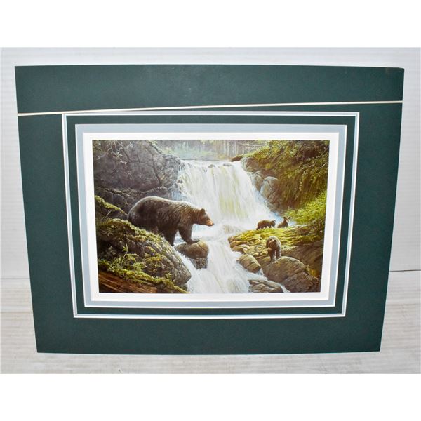 UNFRAMED MATTED LISSA CALVERT BEAR PRINT W/COA -