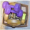 Image 1 : WEIGHTS- 2 X 10 LB & 2 X 3 LB