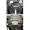 Image 1 : SNAP FITNESS 80LB RUBBER COATED FREE WEIGHT