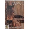 Image 1 : NEW HORSE WALL DECOR 20" X 28"