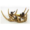 Image 1 : FAUX ANTLER CENTERPIECE CANDLE HOLDER