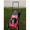 Image 1 : Briggs and Stratton 4.0 HP 21" Gas Lawn Mower